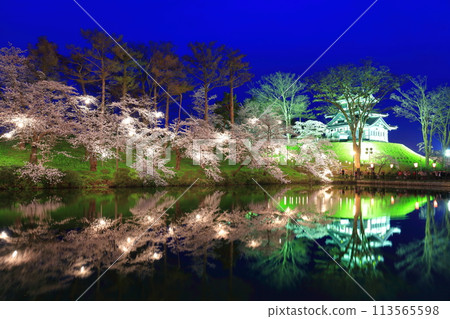 【新潟縣】高田城對稱的夜間櫻花盛開（高田城跡公園賞櫻會） 113565598