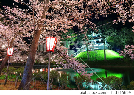 [Niigata Prefecture] Symmetrical cherry blossoms at Takada Castle in full bloom at night (Takada Castle Site Park Cherry Blossom Viewing Association) 113565609