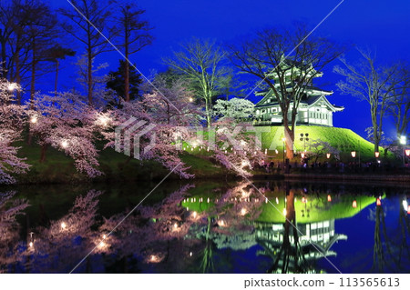 【新潟縣】高田城對稱的夜間櫻花盛開（高田城跡公園賞櫻會） 113565613