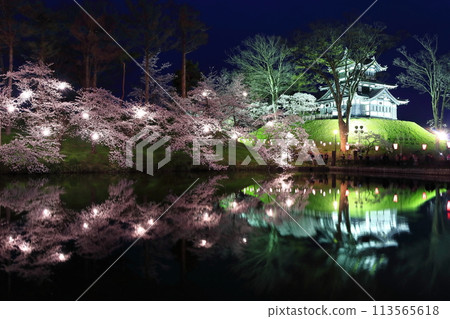 【新潟縣】高田城對稱的夜間櫻花盛開（高田城跡公園賞櫻會） 113565618