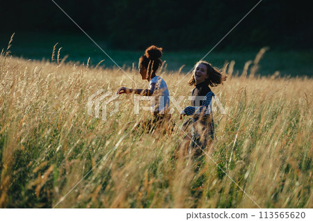 Young teenager girl best friends spending time in nature, during sunset. Girls on walk by forest, summer holidays. 113565620