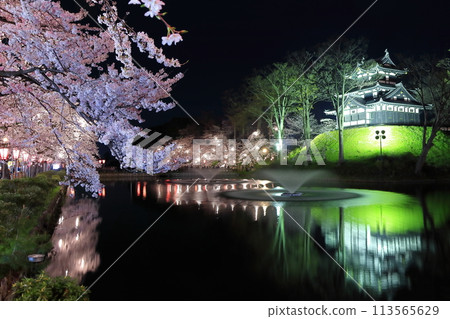 【新潟縣】高田城對稱的夜間櫻花盛開（高田城跡公園賞櫻會） 113565629