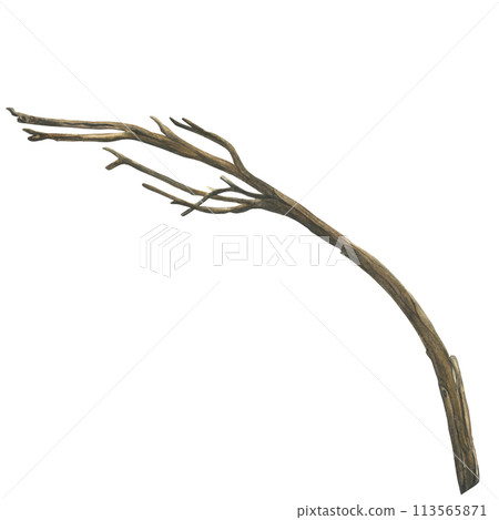 Watercolor illustration of a dry curved tree branch, hand drawn, isolated on a transparent background 113565871