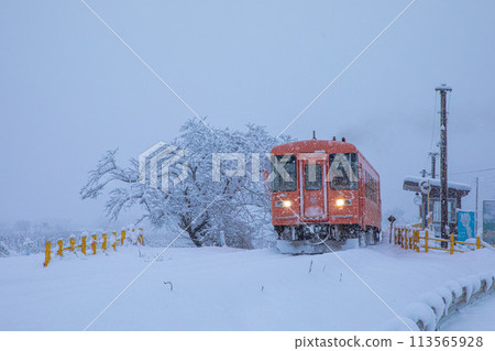 塔里米鐵路在冬天 113565928