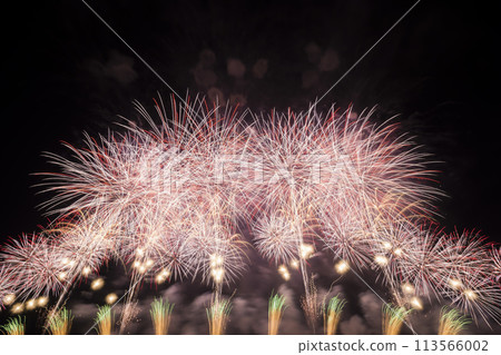 Fireworks display image Fireworks display image 113566002