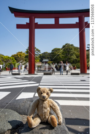 Kamakura 244 Tsurugaoka Hachimangu Shrine 18 Teddy Bear Kamakura 244 Tsurugaoka Hachimangu Shrine 18 Teddy Bear 113566008