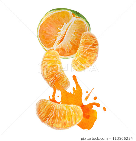 Green orange slices making a splash watercolor composition isolated on white background, hand drawn for food design. Packages, restaurant and cafe menu, natural organic food, label, logo and decor Green orange slices making a splash watercolor composition isolated on white background, hand drawn for food design. Packages, restaurant and cafe menu, natural organic food, label, logo and decor 113566254
