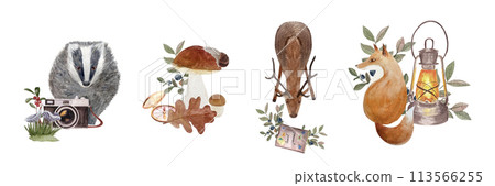 Wild animals camera, diary, compass and lantern with autumn forest elements watercolor border isolated on white. Hand drawn high quality art in flat style for woodland kids designs, textile, stickers Wild animals camera, diary, compass and lantern with autumn forest elements watercolor border isolated on white. Hand drawn high quality art in flat style for woodland kids designs, textile, stickers 113566255