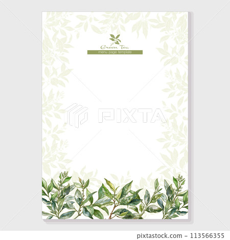 Green tea branch with leaves Green tea branch with leaves 113566355