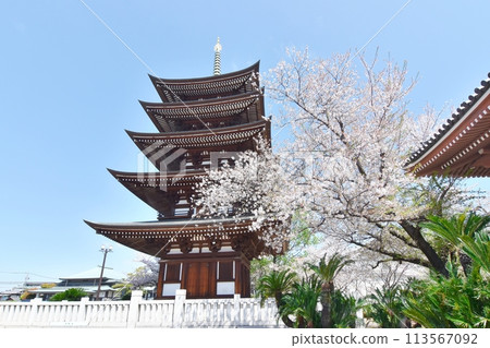 Kaouiyama-sanji Temple Kaouiyama-sanji Temple 113567092