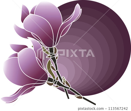 Illustration of verbanica saucer magnolia flower on dark violet circle background. 113567242