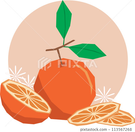 Illustration, Abstract orange fruit with leaf on soft orange circle background. 113567268