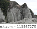 海岸上奇形怪狀的岩石和浪花 113567275