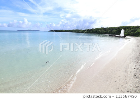 透明的大海 透明的大海 113567450