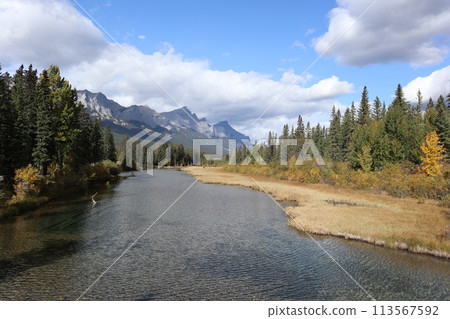 Bow River, Canmore, Canada Bow River, Canmore, Canada 113567592