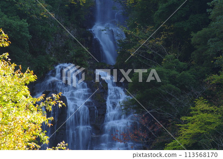 瀑佈景觀 113568170