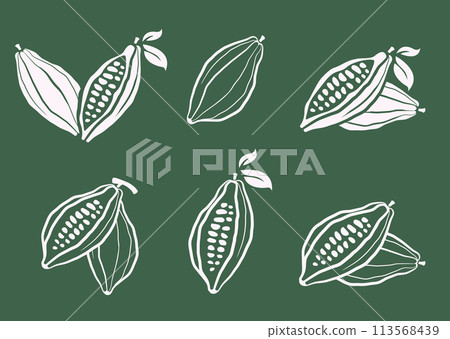 Cacao beans vector illustration set. Cocoa hand drawn doodle. Chocolate bean sketch. Cacao plant part, cacao leaves. Design for cafe chocolate dessert, shop menu, chocolate bar label, logo. 113568439