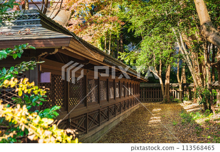 秋天的京都Nashiki神社 113568465