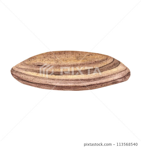 River stone. Hand drawn watercolor illustration with pebble on isolated background. Drawing of striped smooth oceanic rocks. Sketch of minerals in brown color. SPA concept for card, label, souvenirs. 113568540