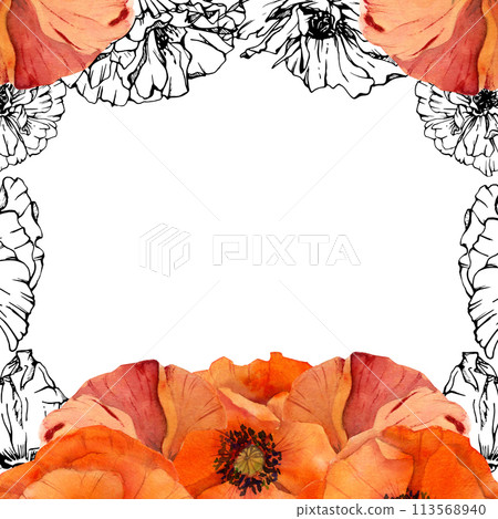 Hand drawn watercolor botanical illustration flowers leaves. Red poppy papaver, stems buds seedpods. Border frame isolated on white background. Design wedding, love cards, remembrance day stationery Hand drawn watercolor botanical illustration flowers leaves. Red poppy papaver, stems buds seedpods. Border frame isolated on white background. Design wedding, love cards, remembrance day stationery 113568940