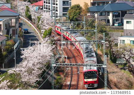 The Keikyu Line in full spring with cherry blossoms in full bloom The Keikyu Line in full spring with cherry blossoms in full bloom 113568951