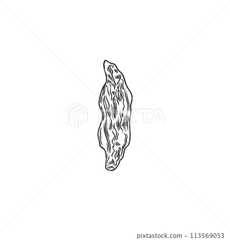 Dried goji berry engraved hand drawn vector, farm natural ripe wrinkled berry black sketch organic superfood fruit plant 113569053