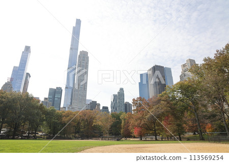 [New York] Skyscrapers seen from Central Park in autumn 113569254