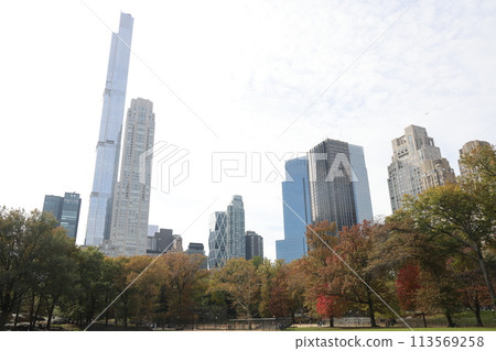 [紐約] 秋天從中央公園看到的摩天大樓 113569258