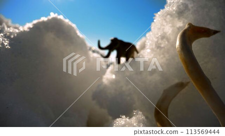 Animal mammoth on a winter sunny day. A figurine of a mammoth in a winter landscape. Animal mammoth on a winter sunny day. A figurine of a mammoth in a winter landscape. 113569444
