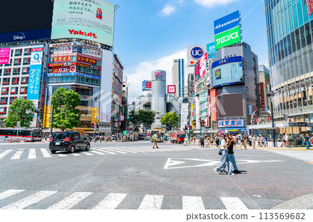 [Tokyo] Shibuya Scramble Crossing, where many people pass by 113569682