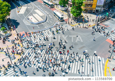 [東京]從上方看澀谷交叉路口 113569700