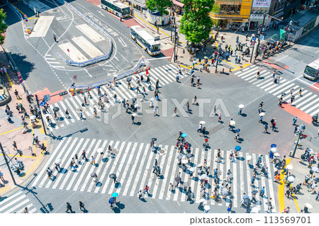 [Tokyo] Shibuya Scramble Crossing seen from above 113569701