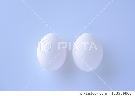 雞蛋的單張照片 113569902
