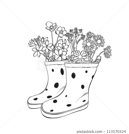 Rainboots and flowers line art outline vector illustration on white background Rainboots and flowers line art outline vector illustration on white background 113570324
