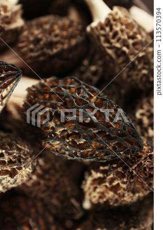 A close-up of the Morel mushroom is the first spring mushroom. The first spring mushrooms. A natural and healthy mushroom. 113570394