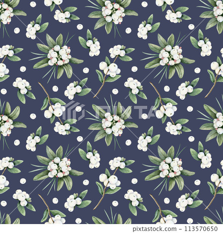 White berries branches with green leaves watercolor seamless pattern on navy blue background. Hand drawn Christmas snowberry plant for floral winter designs and holidays greeting cards White berries branches with green leaves watercolor seamless pattern on navy blue background. Hand drawn Christmas snowberry plant for floral winter designs and holidays greeting cards 113570650
