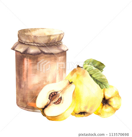 Quince fruit jam in a retro glass jar, ripe yellow whole and cut fruit slice. Watercolor hand drawn illustration. Fruit Jelly, marmalade or drink label, sticker, logo print. Isolated white background. 113570698