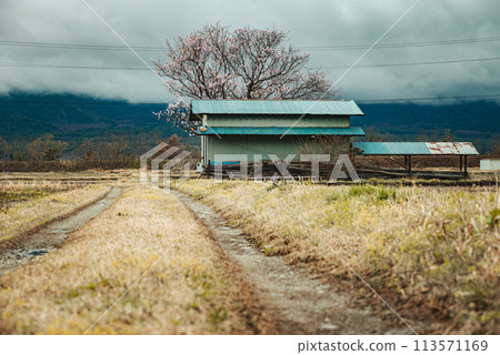 農道、儲藏室、梅花【安曇野】 113571169