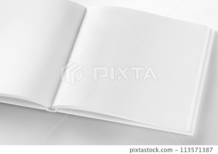 Mockup of opened blank square book at white design paper background. 113571387