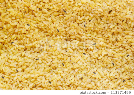 Food grain with weevil insect 113571499