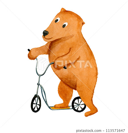 Circus bear on a scooter, hand drawn watercolor illustration isolated on the white background Circus bear on a scooter, hand drawn watercolor illustration isolated on the white background 113571647