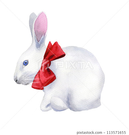 Circus rabbit with a red bow, hand drawn watercolor illustration isolated on the white background Circus rabbit with a red bow, hand drawn watercolor illustration isolated on the white background 113571655