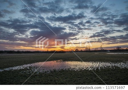 Sunset over wet meadow, evening March view 113571697
