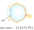 Vertical section of the eye Posterior chamber 113571761
