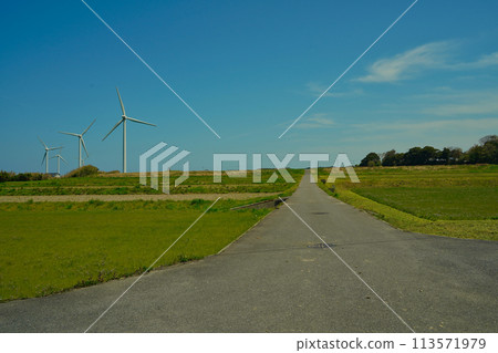 道路與風車 113571979