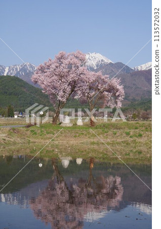 Shinshu Azumino旅遊景點位置神話女神北Arups由Koten Dake支持的受歡迎的Azumino射擊點之一 Shinshu Azumino旅遊景點位置神話女神北Arups由Koten Dake支持的受歡迎的Azumino射擊點之一 113572032