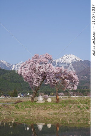 Shinshu Azumino旅遊景點位置神話女神北Arups由Koten Dake支持的受歡迎的Azumino射擊點之一 Shinshu Azumino旅遊景點位置神話女神北Arups由Koten Dake支持的受歡迎的Azumino射擊點之一 113572037