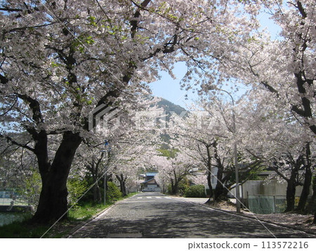 2004年，香川縣，宇多津，風景，第26部分 113572216
