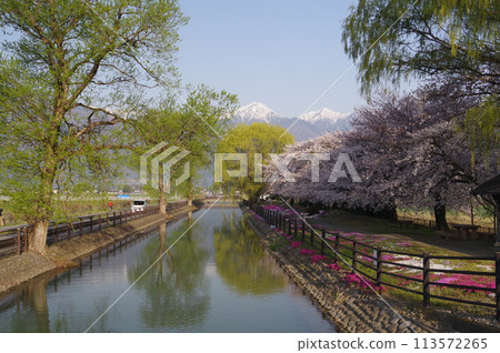 Shinshu Azumino Field北阿爾卑斯山和鹿兒島（風景）風景與春天櫻桃Azumino受歡迎的射擊點 113572265