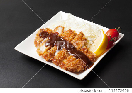 Thickly sliced pork cutlet with sauce 113572606